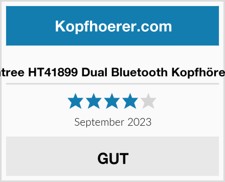  Avantree HT41899 Dual Bluetooth Kopfhörer Set Test