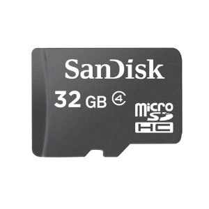 SanDisk Micro SDHC